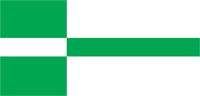 Paide (Estonia), flag
