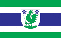 Polva (Estonia), flag