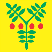Saarde (Estonia), flag - vector image