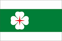 Ляэне-Нигула (Эстония), флаг - векторное изображение