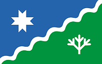 Ляэне-Харью (Эстония), флаг - векторное изображение
