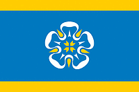 Viljandi parish (Estonia), flag - vector image