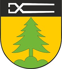 Altenthann (Oberpfalz, Bavaria), coat of arms - vector image