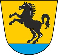 Bad Rappenau (Baden-Württemberg), coat of arms