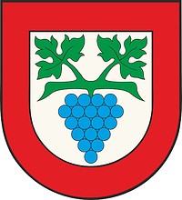 Büsingen am Hochrhein (Baden-Württemberg), coat of arms - vector image