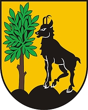 Bad Ischl (Austria), coat of arms - vector image