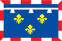 Центр (регион Франции), флаг