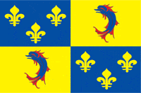 Dauphine (historical province of France), flag - vector image