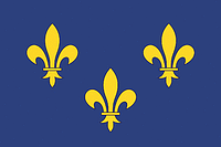 Île-de-France (historical province and region of France), flag - vector image