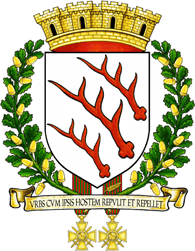 Герб города Сарбур (57)