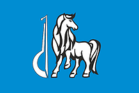 Тогусский Первый наслег (Якутия), флаг