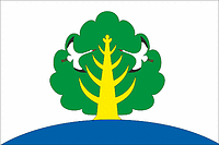 Vector clipart: Togussky (Yakutia), flag