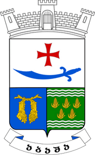 abasha city coa2