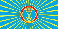 Nur-Sultan (Kazakhstan), flag (2019) - vector image