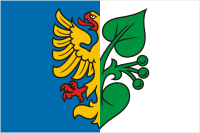 Karviná (Czechia), flag - vector image