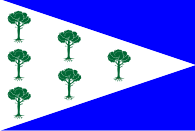 Флаг муниципалитета Фуэнтенава-де-Хабага (провинция Куэнка)