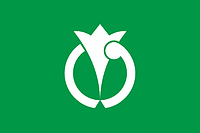 Anan (Japan), flag - vector image