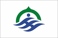 Hodatsushimizu (Japan), flag - vector image