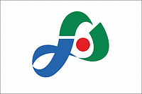 Iyo (Japan), flag - vector image