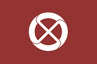 Iida (Japan), flag