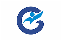 Nanao (Japan), flag - vector image