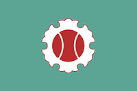 Ojiya (Japan), flag - vector image