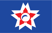 Shizuoka (city, Japan), flag - vector image