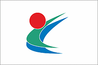 Tōon (Japan), flag - vector image