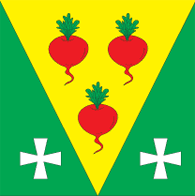 Флаг села Буряки