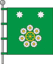 Хажин (Житомирская область), флаг - векторное изображение