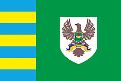 Vector clipart: Tyachev rayon (Zakarpatye oblast), flag (2007)