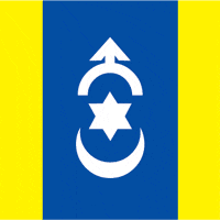 Дубно (Ровенская область), флаг - векторное изображение