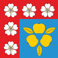 Vector clipart: Golokhvasty (Khmelnitsky oblast), flag