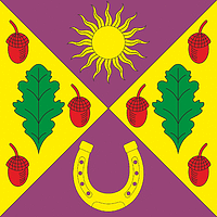 Vector clipart: Lysovka (Khmelnitsky oblast), flag