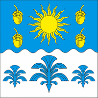 Shevchenko (Khmelnitsky oblast), flag - vector image