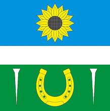 Васильковцы (Хмельницкая область), флаг