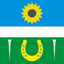 Vector clipart: Vasilkovtsy (Khmelnitsky oblast), flag