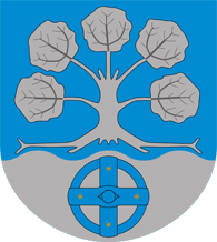 haapavesi city coa