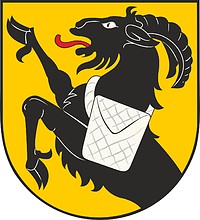 Vector clipart: Kiikoinen (Finland), coat of arms