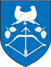 Drogichin (Brest oblast), coat of arms - vector image