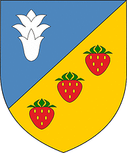 Dvorets (Brest oblast), coat of arms