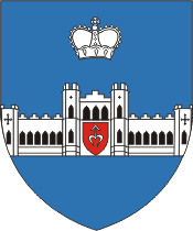 Коссово (Брестская область), герб - векторное изображение