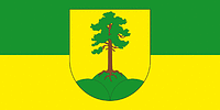 Vector clipart: Begoml (Vitebsk oblast), flag