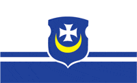 Орша (Витебская область), флаг
