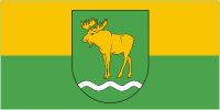 Vector clipart: Rossony (Vitebsk oblast), flag