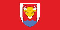Гродненский район (Гродненская область), флаг - векторное изображение