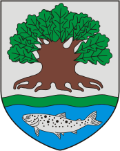 Ostrowetz (Oblast Grodno), Wappen