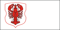 Radun (Grodno oblast), flag - vector image