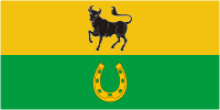 Zheludok (Grodno oblast), flag - vector image