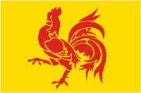 Wallonia (region in Belgium), flag